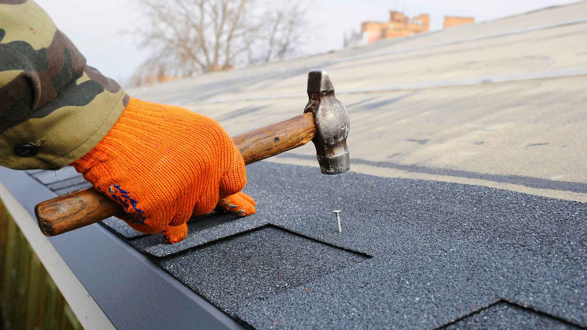 Roof Inspector Link